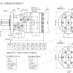 BMH系列交错油口马达